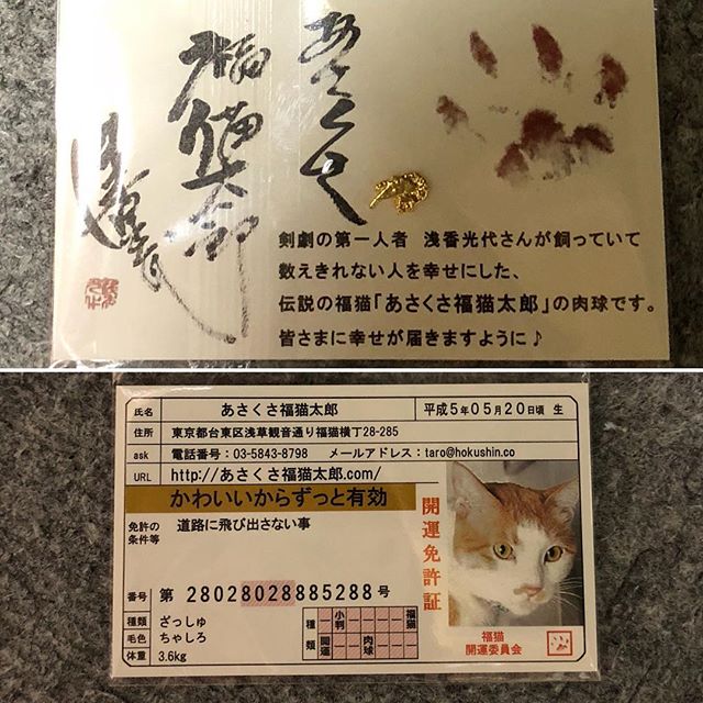 口コミ投稿：あさくさ福猫太郎さんのお守り。猫好きにはたまらん❣️お財布に入れとこー‼️大金が手…
