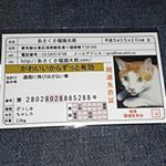 #あさくさ福猫太郎ショップファンサイト参加中 #あさくさ福猫太郎　#浅草名物　#moniplaのInstagram画像