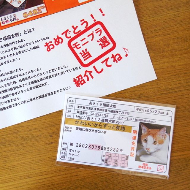 口コミ投稿：かわいい開運雑貨「あさくさ福猫太郎」から頂いた猫グッズ。開運福猫豆お守りという…