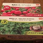 ＊栽培セットをお試し中です！必要なものが入っていて、栽培方法も分かりやすく書いています☆ブロッコリースプライトは3回分、ラディッシュは2回分が入っているので、1回だけではなく何回も出来るためオ…のInstagram画像
