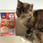 DHC様より猫用クリーミィまぐろをいただきました。.国産鶏肉を使用したとろ〜りおらさやつはCOCOちゃんも大好き。.スティックタイプの食べきりサイズでCOCOちゃんも夢中になる美味しさ…のInstagram画像