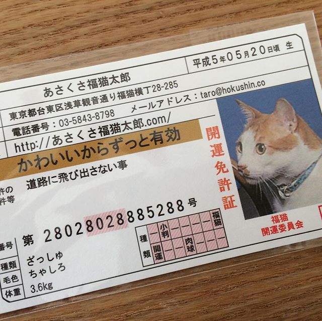 口コミ投稿：モニプラさん経由であさくさ福猫太郎グッズ当たりました😊さっそくお財布に入れてます…