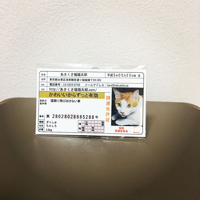 口コミ投稿：あさくさ福猫太郎あさくさ福猫太郎のお守り24kメッキ カードと一緒にお財布に入れて…