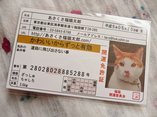 口コミ：あさくさ福猫太郎開運　豆お守りの画像（1枚目）