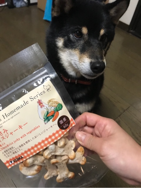 口コミ：愛犬茶々が大好きなささみライスジャーキーを食べる様子を実況中継。の画像（1枚目）