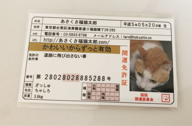 口コミ：いいことたくさん♡かわいい開運雑貨「あさくさ福猫太郎」の福猫の豆お守りの画像（4枚目）