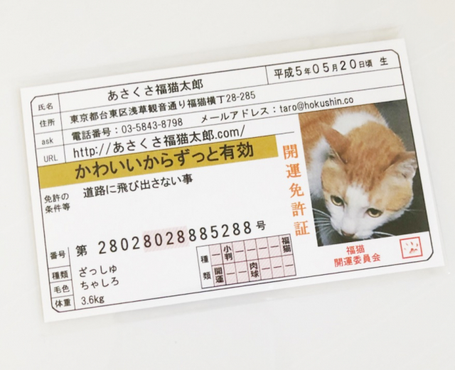 口コミ：いいことたくさん♡かわいい開運雑貨「あさくさ福猫太郎」の福猫の豆お守りの画像（8枚目）