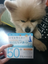 口コミ記事「紫外線から肌守れ！今年も出かける前はしっかり美白クリームでUVケア！」の画像