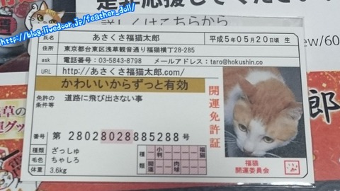 口コミ：【あさくさ福猫太郎】非売品開運豆お守りの画像（3枚目）