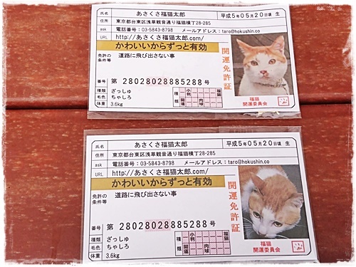 口コミ：開運のあさくさ福猫太郎さんの豆お守り2個目ゲット！の画像（3枚目）
