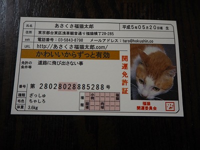 口コミ：あさくさ福猫太郎の画像（1枚目）