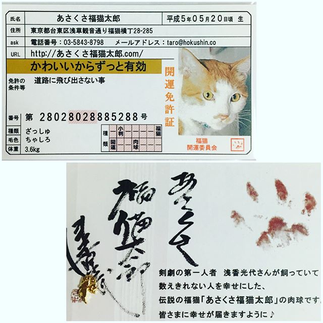 口コミ投稿：あさくさ福猫太郎の非売品開運豆お守り。○かわいい猫のお守りが届いたので、車の免許…