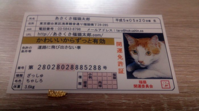 口コミ：「あさくさ福猫太郎」からの幸せをあなたにもおすそ分けの画像（2枚目）
