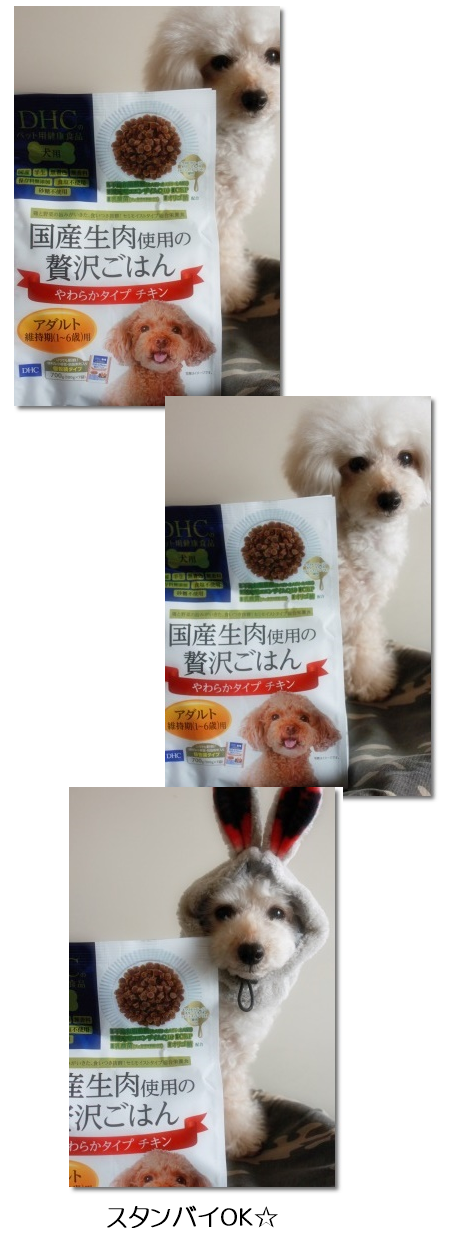 口コミ:DHC 「国産生肉使用の贅沢ごはん(チキン/アダルト)」 その①の画像(10枚目)
