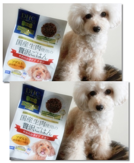 口コミ:DHC 「国産生肉使用の贅沢ごはん(チキン/アダルト)」 その①の画像(9枚目)
