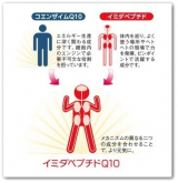 口コミ：イミダペプチドQ10 最強の抗疲労成分で疲れをなくす！ 日本予防医薬の画像（7枚目）
