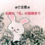 お見苦しい写真あります、すみません💦・角質とムダ毛が同時にケアできる 2000万個以上売上のある #除毛パッド を頂いたのでご紹介します♪・中には説明書とワイドパッド、ミニパッド、取り…のInstagram画像