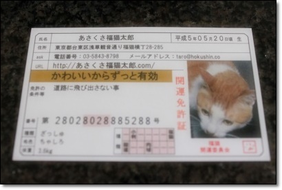 口コミ：あさくさ福猫太郎　非売品開運豆お守り☆の画像（1枚目）