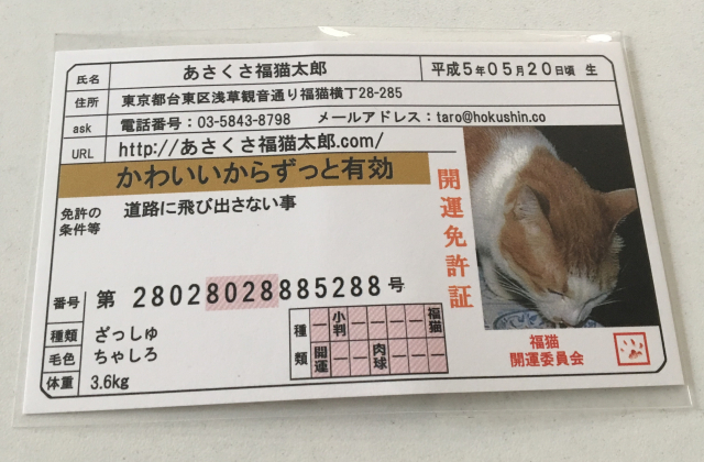 口コミ：【あさくさ福猫太郎】非売品開運豆お守りの画像（1枚目）