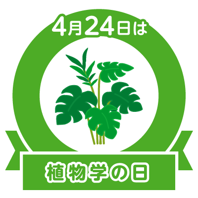 口コミ：植物学の日と、開運の画像（5枚目）