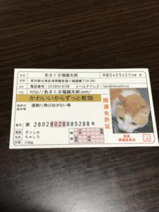 口コミ：幸せまねきねこ。非売品 開運 豆お守り「 あさくさ福猫太郎 」の画像（1枚目）