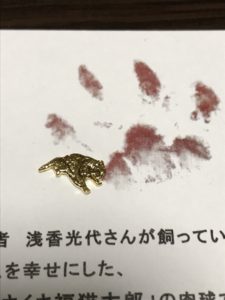 口コミ：幸せまねきねこ。非売品 開運 豆お守り「 あさくさ福猫太郎 」の画像（3枚目）