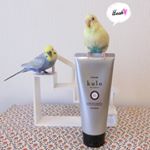 .『ヘアカラートリートメントkulo』で手軽に部分染め！😊✨Parzialmente tinto facilmente con のInstagram画像