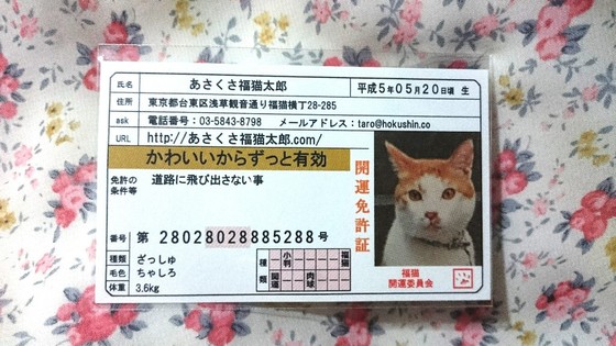 口コミ：『あさくさ福猫太郎』の開運お守りの画像（2枚目）