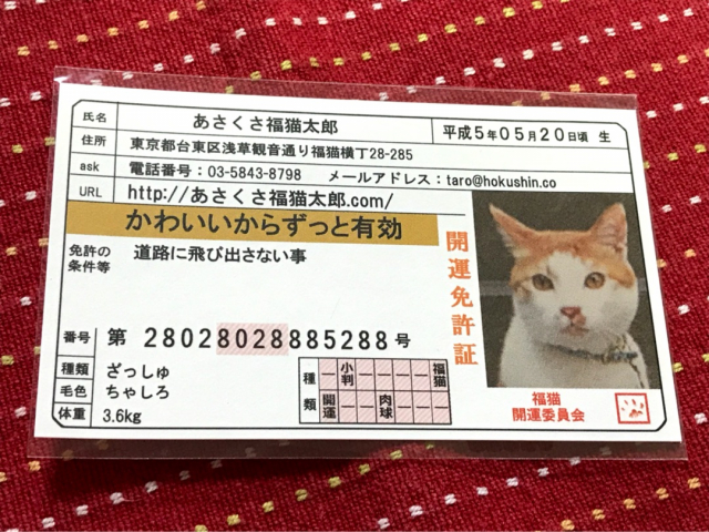 口コミ：【あさくさ福猫太郎】開運　豆お守りの画像（4枚目）