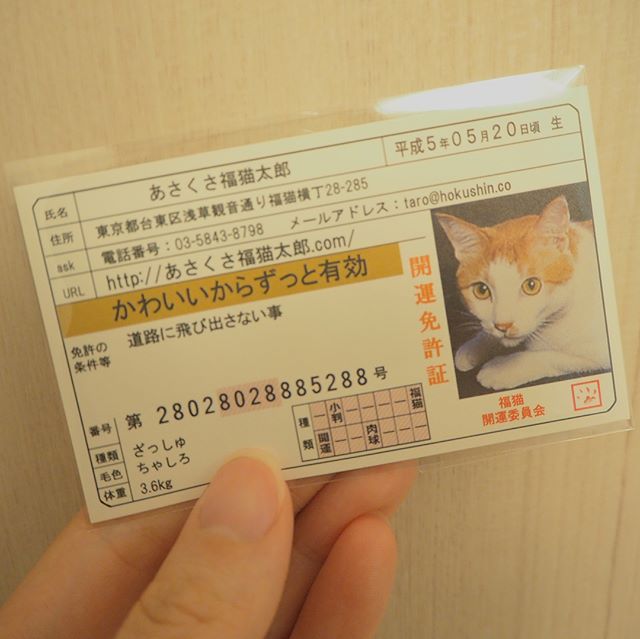 口コミ投稿：・開運♡福猫太郎・可愛すぎる開運免許証。これ持ってたら、良いことありそう(●´ω｀●)…