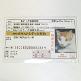 口コミ記事「あさくさ福猫太郎～」の画像