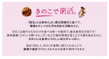 口コミ：☆モニター当選☆ ホクトのマイタケまるごと使った菌活・贅沢カレーの画像（4枚目）
