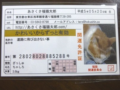 口コミ：“あさくさ福猫太郎”の開運豆お守りの画像（2枚目）