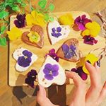 手作りのエディブルフラワークッキー🍪💕 #tokyo #japan #Flower  #エディブルフラワー #写真好きな人と繋がりたい #ガールズパーティー #女子会 #カメラ女子 #エディブルフラワ…のInstagram画像