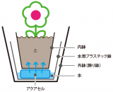 【アジサイ マジカルレボリューション ブルー】saxia植物長持ち体験モニターの画像（5枚目）