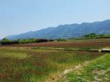 「私の普段の日常」の画像（3枚目）