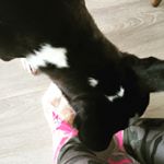 夏を前に、気になっていた部分の処理。#足裏の角質 。犬がいるのでスリッパを履かけない、それにホットヨガクラスは畳。必然的に硬くなるなる#母指球 #小指球 #踵 。スリッパ履かない生活だと、…のInstagram画像