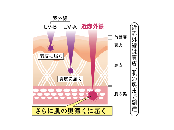 口コミ：紫外線だけじゃない！「近赤外線」「ブルーライト」もカット★リペアUVクリームの画像（2枚目）