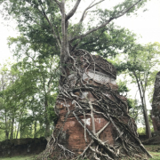 カンボジアの世界遺産