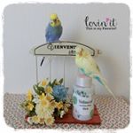 .ルル&メル:『ボタニカル モイスチャーローション』で、ママのお顔がツヤツヤだぞ！🐥😊🐥.明色化粧品の『ボタニカルモイスチャーローション』は、植物の力と133年もの歴史で培った処方技術力を融合…のInstagram画像