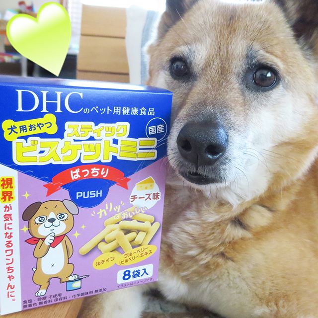 口コミ投稿：DHCの「犬用　スティックビスケットミニ ぱっちり」】です。 愛犬ケン太ももう11歳。…