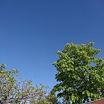 ・・やっと北海道も暖かくなり公園遊びが楽しくなりました✨私は空や月、星が大好きでいつも空を見上げてしまう。・それを見てるからか、息子も外に出ると空を見上げる。『おかあさん！みて…のInstagram画像