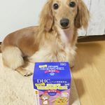 ✱@dhc_official_jp さんの犬用スティックビスケット、のモニターにチャレンジ✨視界に役立つ成分がチーズ味で美味しく摂れる👀✨１箱８袋入りで、小分けになってるので、お出かけ等に…のInstagram画像