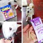 今回モニターさせていただいて初めて知ったのですが、あの#DHC に、 #DHCPET という、ペット用サプリメントラインがあったんです😍しかも、歩行、免疫、視界、コエンザイムにビタミン・酵素ほ…のInstagram画像