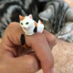 ..我が家には愛猫が2匹いると言うこともあり猫好きなため、猫グッズも結構好きです❤️.今回、アニマルリング『CLiNG』のネコちゃんバージョンをいただきました🐈♪.CLiNGと…のInstagram画像