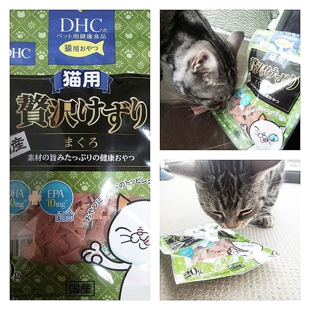 口コミ投稿：・・福君のおやつターイム！DHC 猫用 贅沢けずり マグロDHAとEPA配合されてますこの…