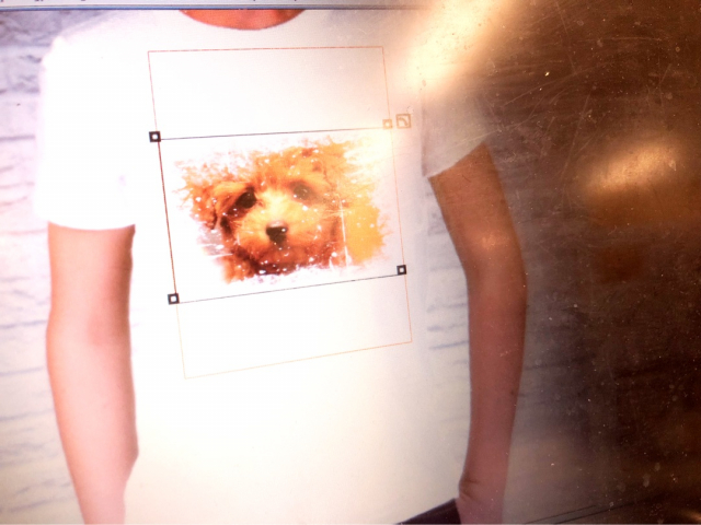口コミ：チャロのTシャツを作ってみた。の画像（4枚目）