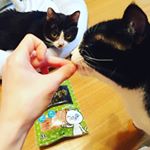 DHCのネコちゃん用おやつ「贅沢けずり」シリーズ！こちらは猫用 贅沢けずり まぐろ。少し硬さがあるように見えるけれど、手で簡単にちぎったりできるので、そのままあげたり、細か…のInstagram画像