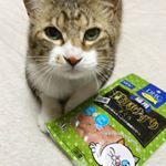 撮影はいいからはやく開けてください。と訴えているところ。DHCさんの#猫用贅沢けずり をいただきました。一袋20gにDHA50mg、EPA10mg配合の猫用おやつ。国産まぐろ使用です。猫に…のInstagram画像