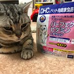 ..我が家の愛猫は2匹いるうち1匹が12才の高齢猫のチロルさん。最近食も細くなり、栄養面とかいろいろ心配してた中、DHCの『パーフェクトビタミン＋タウリン』をお試しする機会がありました✨…のInstagram画像